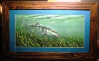 Bonefish - Giclee Print Hand Signed By Pasta Pantaleo & Framed