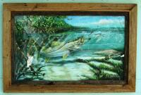 Mangrove Mama - Giclee Print Hand Signed  By Pasta Pantaleo & Double Frames