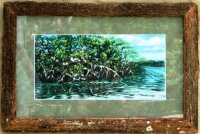 Mangroves - Giclee Print Hand Signed & Framed