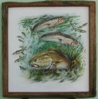 Redfish - Giclee Print Hand Signed By Pasta Framed