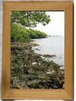 Seashore Photograph By Jacqueline Corral Framed